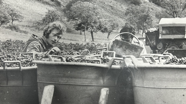 1970s : Bernard-Noël Reverdy