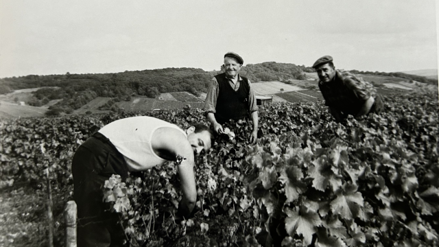 1960s: Great-grandfather and grandfather